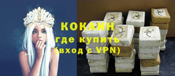 прущие грибы Гусев