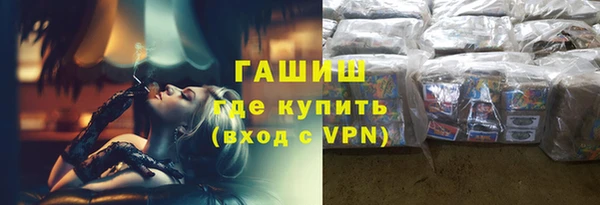 прущие грибы Гусев