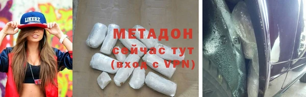 прущие грибы Гусев