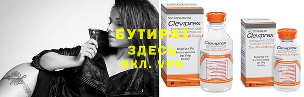 прущие грибы Гусев