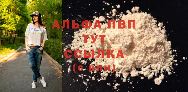 прущие грибы Гусев