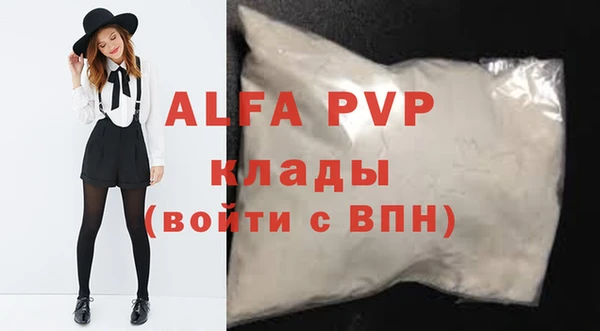 прущие грибы Гусев