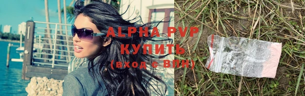 прущие грибы Гусев