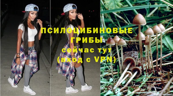 mdpv Гусиноозёрск