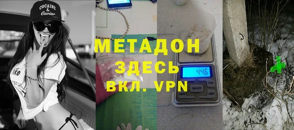 прущие грибы Гусев