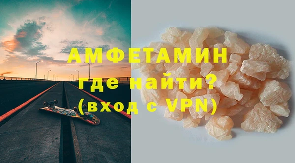 прущие грибы Гусев