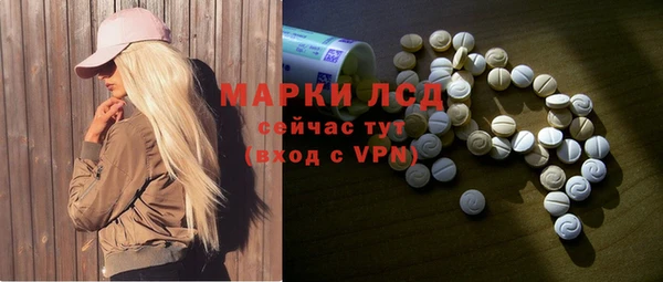 прущие грибы Гусев