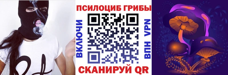 Псилоцибиновые грибы Psilocybine cubensis  Купить где  Котельниково 